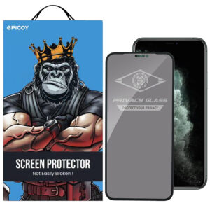 محافظ صفحه نمایش حریم شخصی اپیکوی مدل PvSight مناسب برای گوشی موبایل اپل iPhone 11 Pro / XS / X