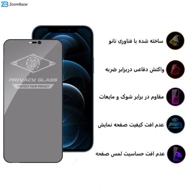 محافظ صفحه نمایش حریم شخصی اپیکوی مدل PvSight مناسب برای گوشی موبایل اپل iPhone 12 Pro Max