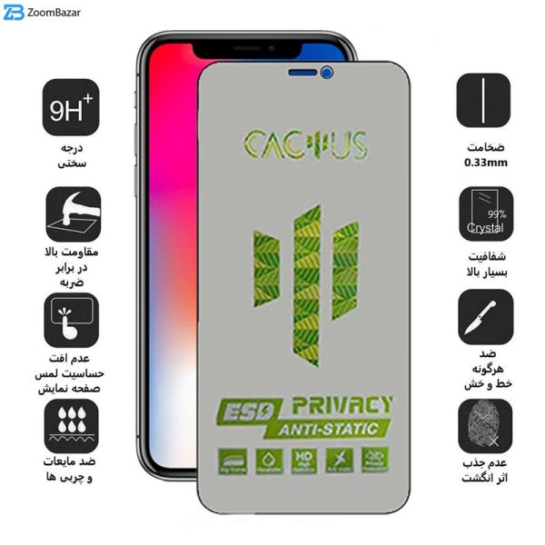 محافظ صفحه نمایش حریم شخصی اپیکوی مدل Cactus-ESD-Privacy مناسب برای گوشی موبایل اپل iPhone Xs/ X