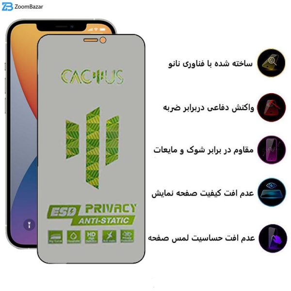 محافظ صفحه نمایش حریم شخصی اپیکوی مدل Cactus-ESD-Privacy مناسب برای گوشی موبایل اپل iPhone 12 Pro / 12