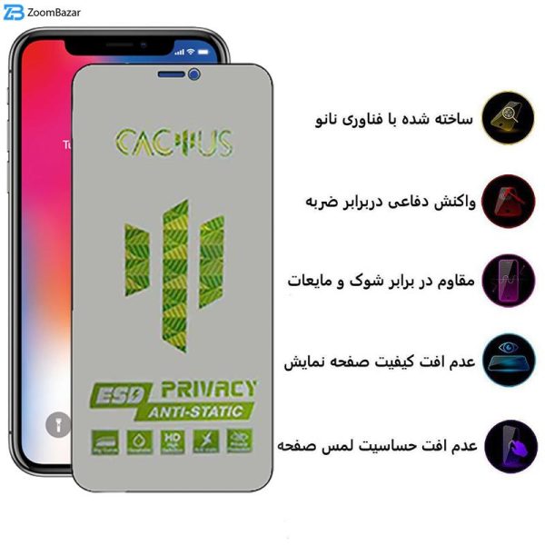 محافظ صفحه نمایش حریم شخصی اپیکوی مدل Cactus-ESD-Privacy مناسب برای گوشی موبایل اپل iPhone 11 Pro / Xs / X