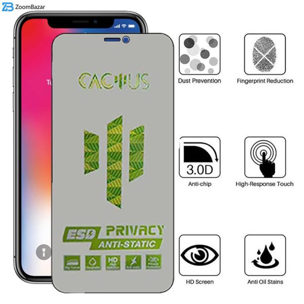 محافظ صفحه نمایش حریم شخصی اپیکوی مدل Cactus-ESD-Privacy مناسب برای گوشی موبایل اپل iPhone 11 Pro / Xs / X