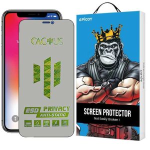 محافظ صفحه نمایش حریم شخصی اپیکوی مدل Cactus-ESD-Privacy مناسب برای گوشی موبایل اپل iPhone 11 Pro / Xs / X