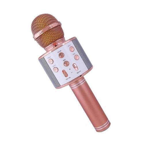 میکروفون اسپیکر مدل WS-858