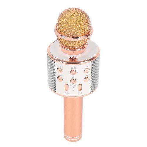 میکروفون مدل همه کاره WS-858